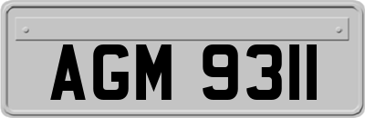 AGM9311