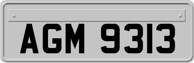 AGM9313