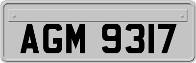 AGM9317