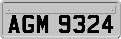 AGM9324