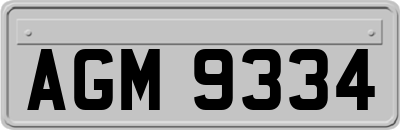 AGM9334