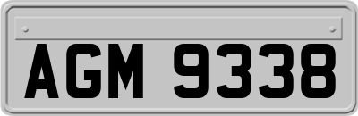AGM9338
