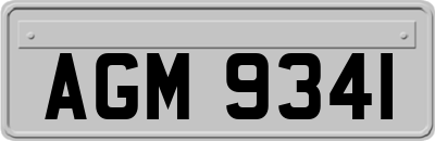 AGM9341