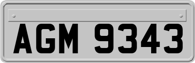 AGM9343