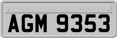 AGM9353