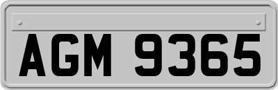 AGM9365