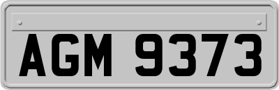AGM9373