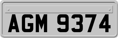 AGM9374