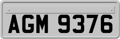 AGM9376