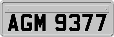 AGM9377