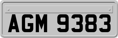 AGM9383