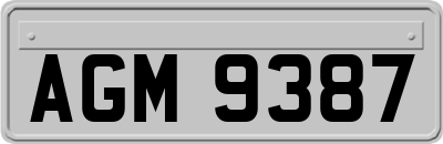 AGM9387
