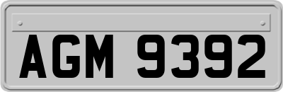 AGM9392