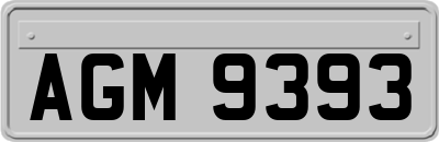 AGM9393