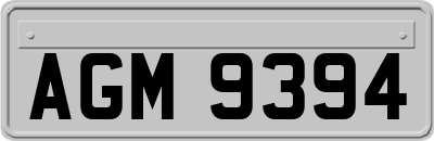 AGM9394
