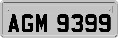 AGM9399