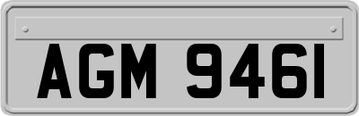 AGM9461