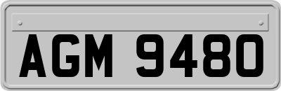 AGM9480