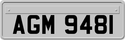 AGM9481