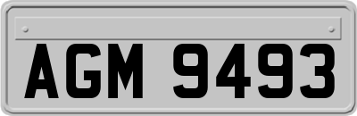 AGM9493