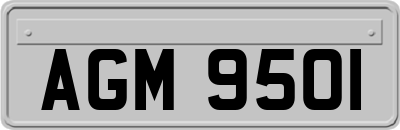 AGM9501