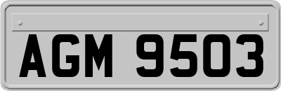 AGM9503