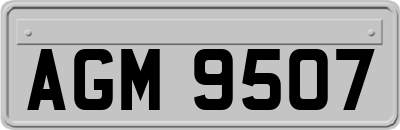 AGM9507