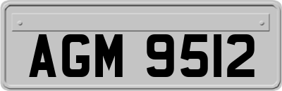 AGM9512
