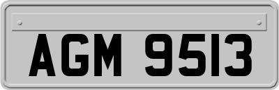 AGM9513