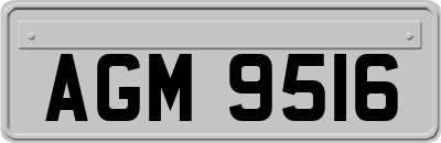 AGM9516