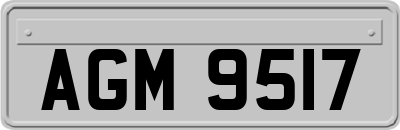 AGM9517