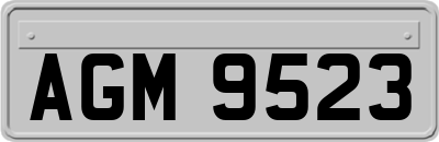 AGM9523