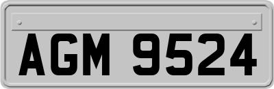 AGM9524
