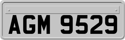 AGM9529