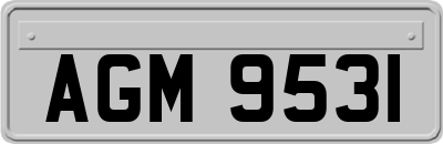 AGM9531