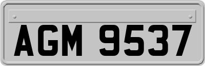 AGM9537