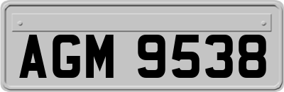 AGM9538