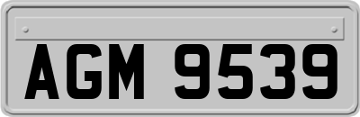 AGM9539