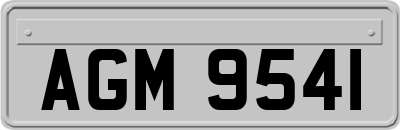 AGM9541