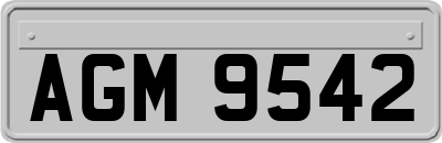 AGM9542