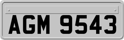 AGM9543