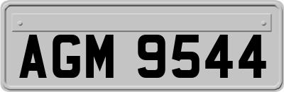 AGM9544