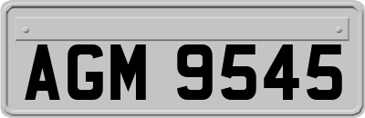 AGM9545