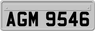 AGM9546