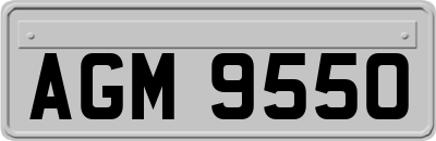 AGM9550