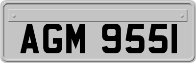 AGM9551