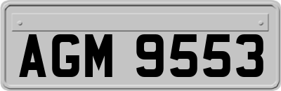 AGM9553