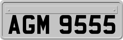 AGM9555