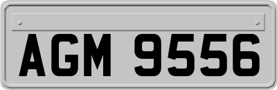 AGM9556