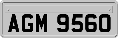 AGM9560